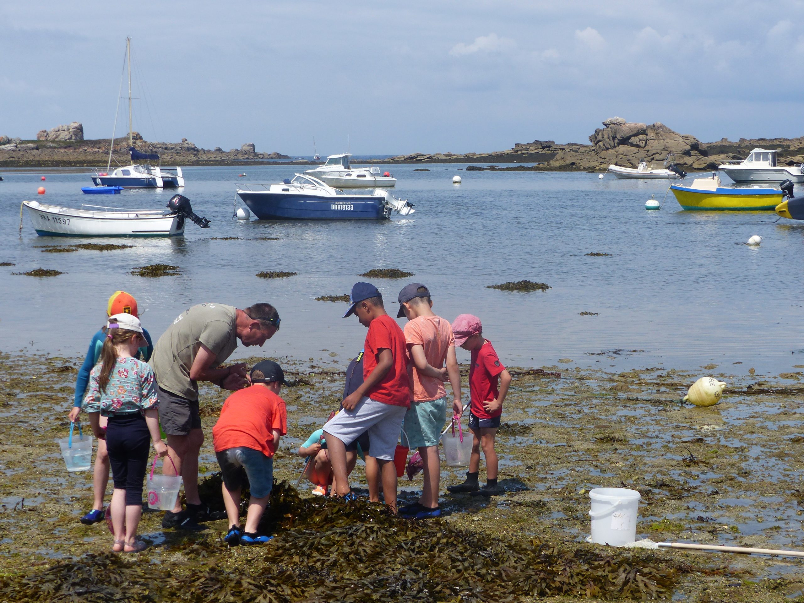 Pêche à pied